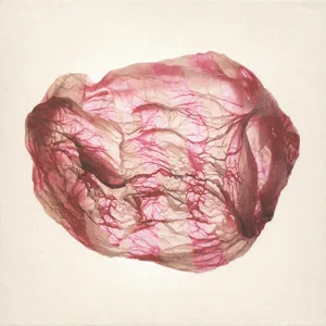 Distant sounds of summer